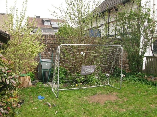 Mochte Meinen Garten Katzensicher Machen Katzen Forum